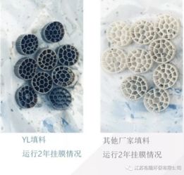 裕隆環(huán)保 裕龍活性生物填料，十六載創(chuàng)新路，匠心鑄就水處理新引擎