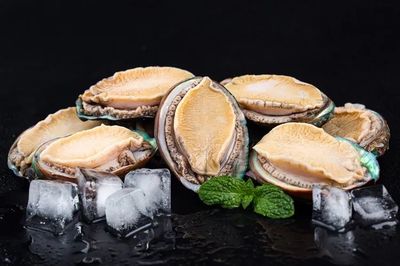 和治友德世界海洋日特輯 共同守衛(wèi)蔚藍(lán)，探索海洋生物活性物質(zhì)的綠色未來