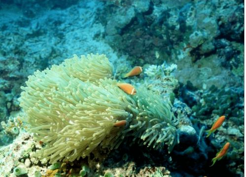 觀方好物 華山醫(yī)院研制的身體乳，何以成為值得“囤一輩子”的護(hù)膚好物？